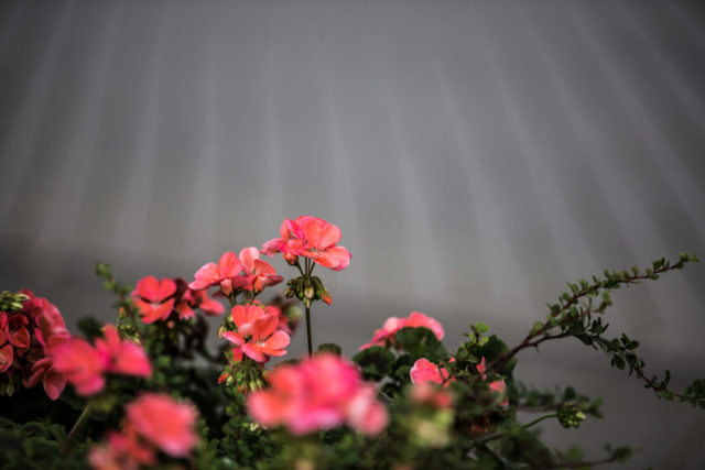 20140902-fototage-2015-landschaft-2